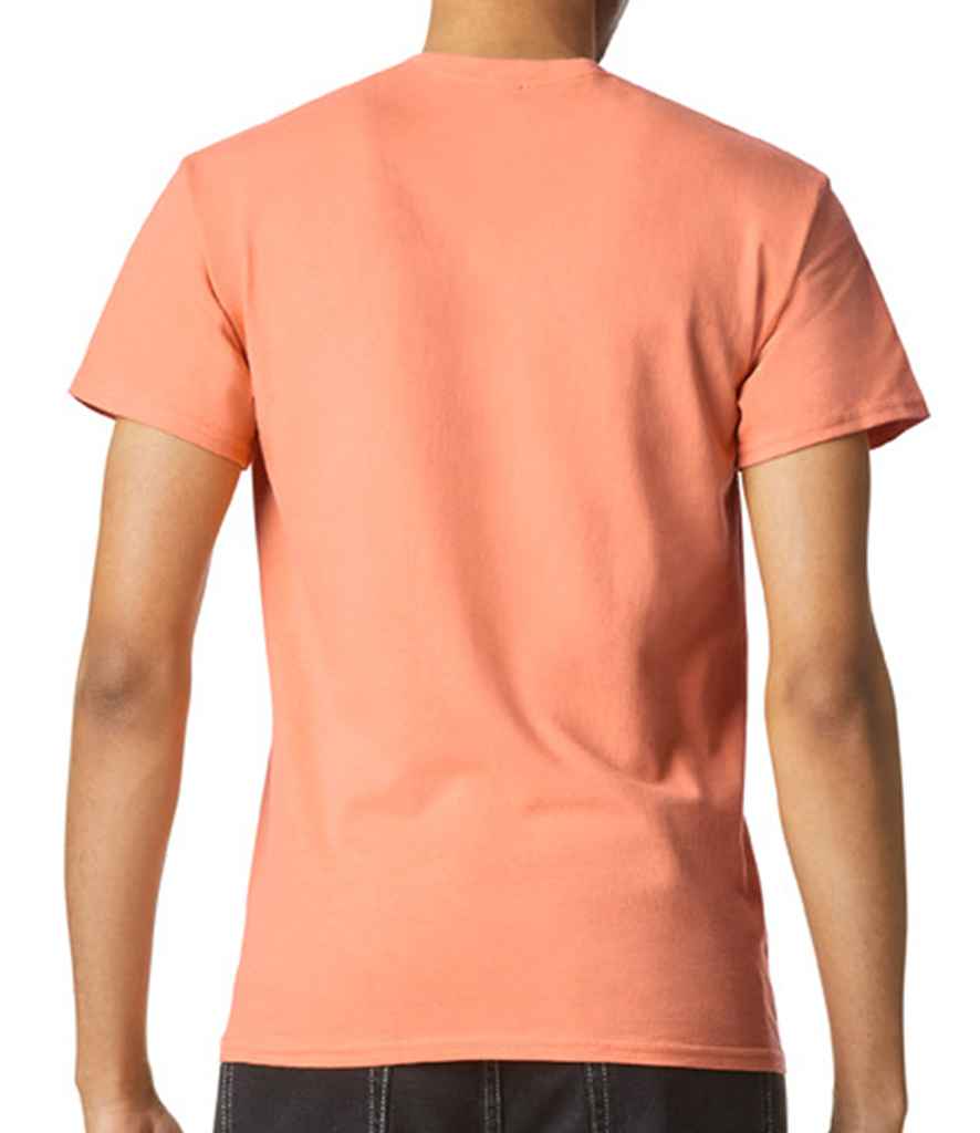 GD05 Tangerine Back