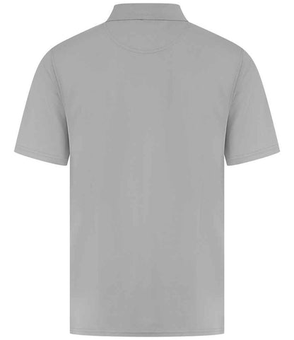 H475 Silver Back