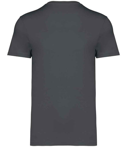 NS305 Iron Grey Back