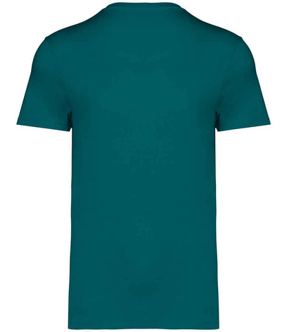 NS305 Peacock Green Back
