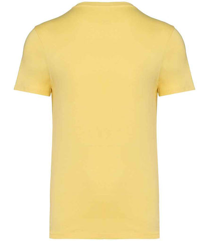 NS305 Pineapple Back