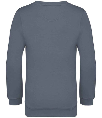 NS403 Mineral Grey Back