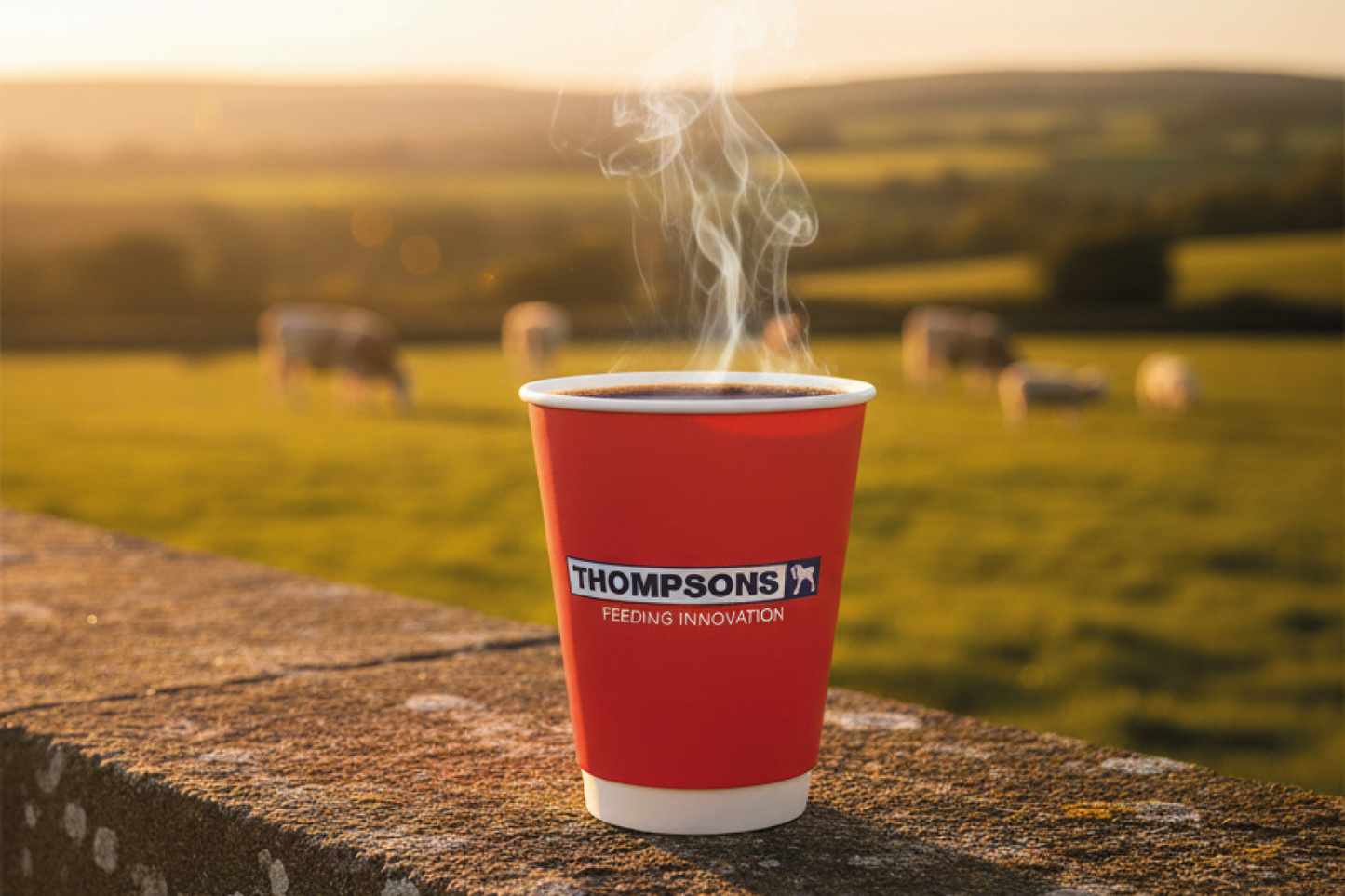 Merch | Paper Cups & Tubs